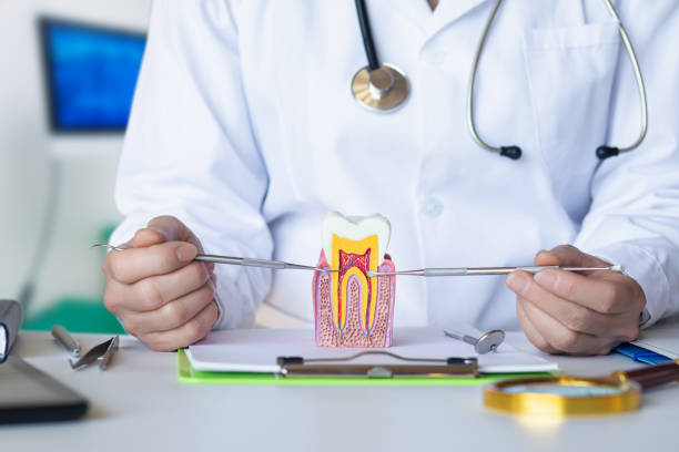 Best Emergency Dental Care for Abscessed Tooth in West Columbia, SC